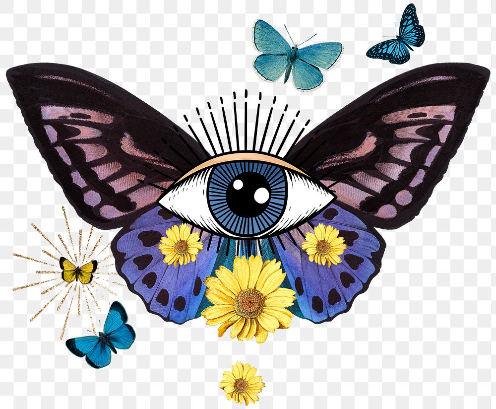 Butterfly eye png sticker, surreal, whimsical illustration, transparent background