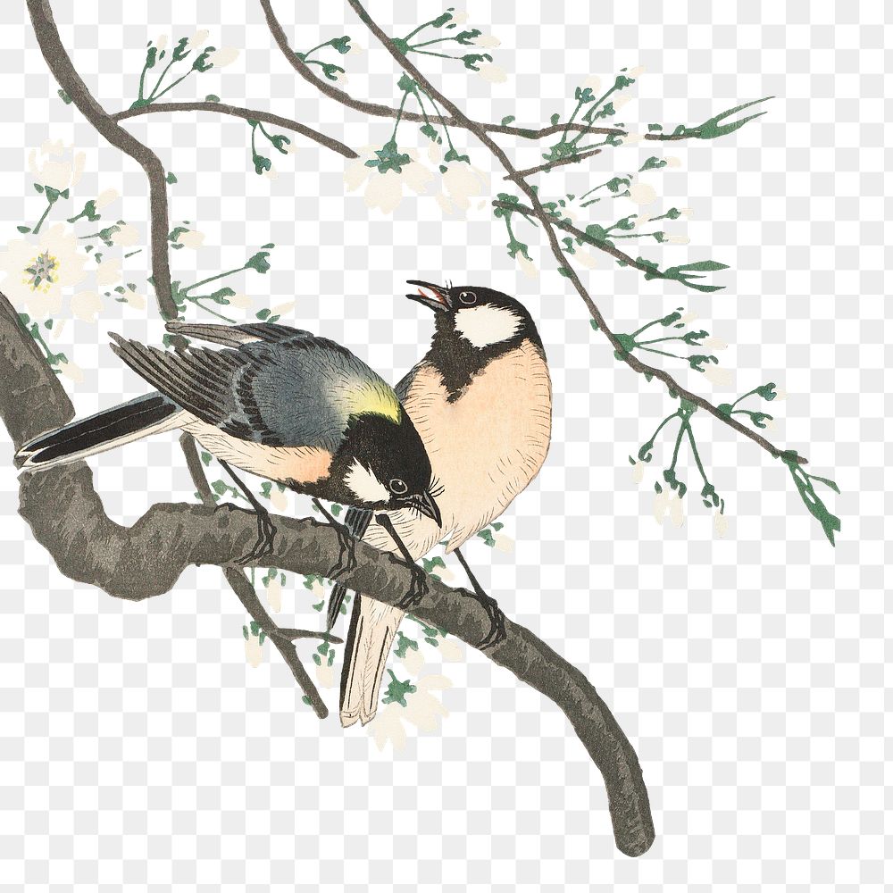 Png Ohara Koson's bird sticker, vintage illustration, transparent background