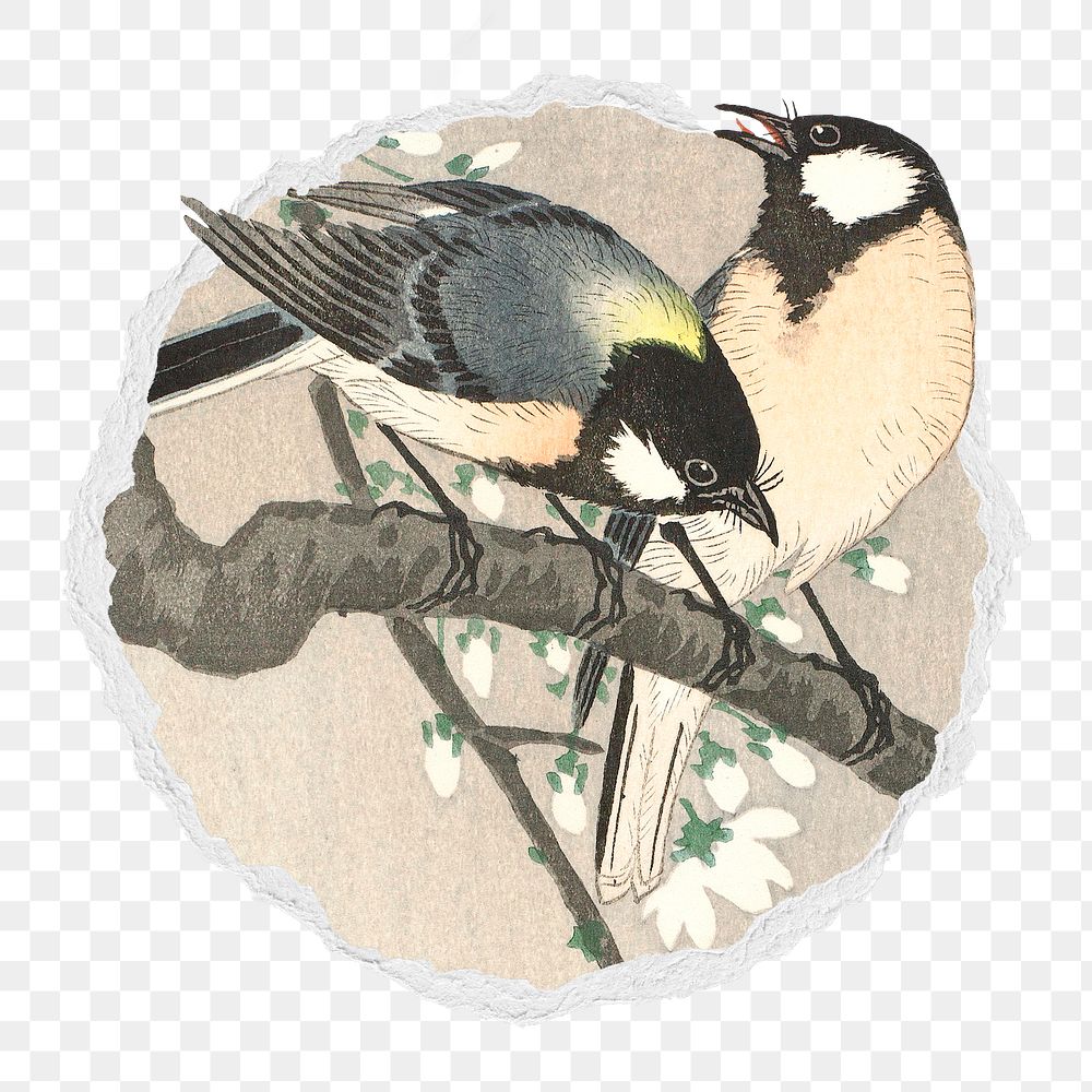 Png Tits on Cherry Branch sticker, painting by Ohara Koson in ripped paper badge, transparent background. Remixed by…