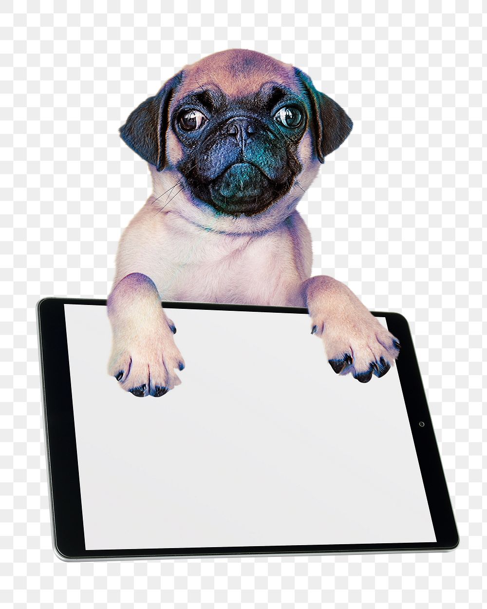 Digital tablet png puppy sticker, transparent background