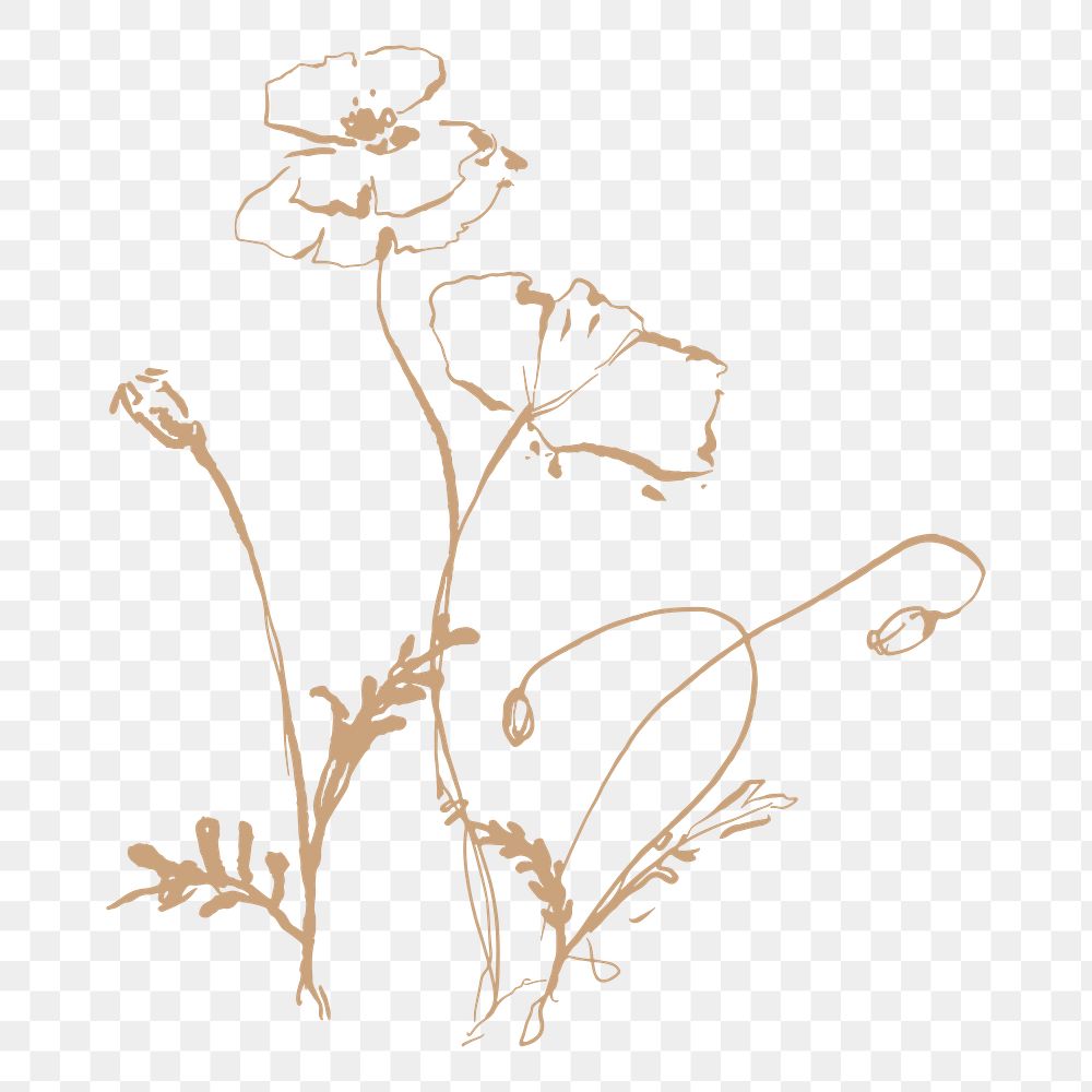 Aesthetic flower png sticker, line art, transparent background