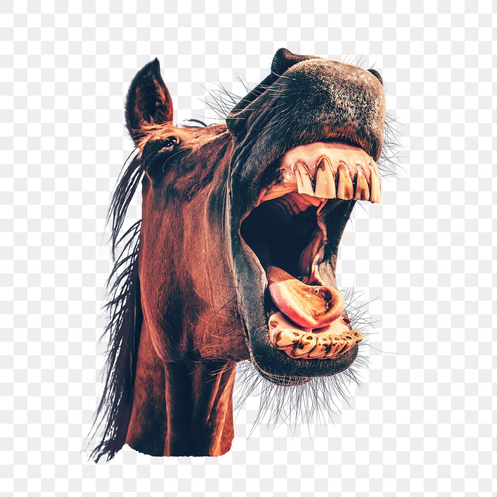 Mad horse png sticker, animal, transparent background