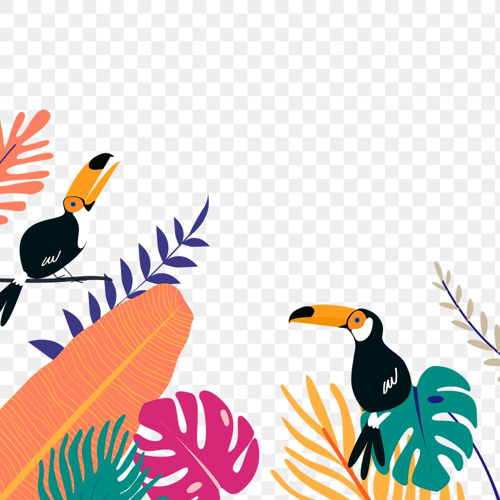 Botanical border frame png, colorful summer aesthetic collage element with toucans, transparent background