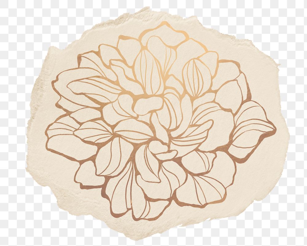 Gold outlined flower png sticker, ripped paper on transparent background