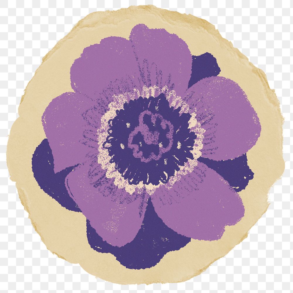 Purple Anemone flower png sticker, ripped paper, transparent background