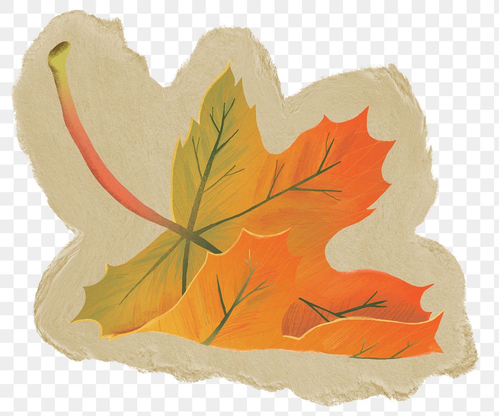 Autumn leaf png sticker, ripped paper, transparent background