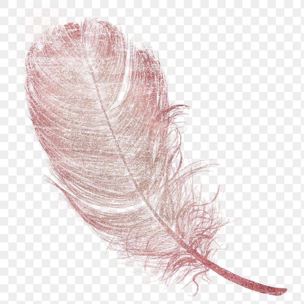 Png pink feather design element