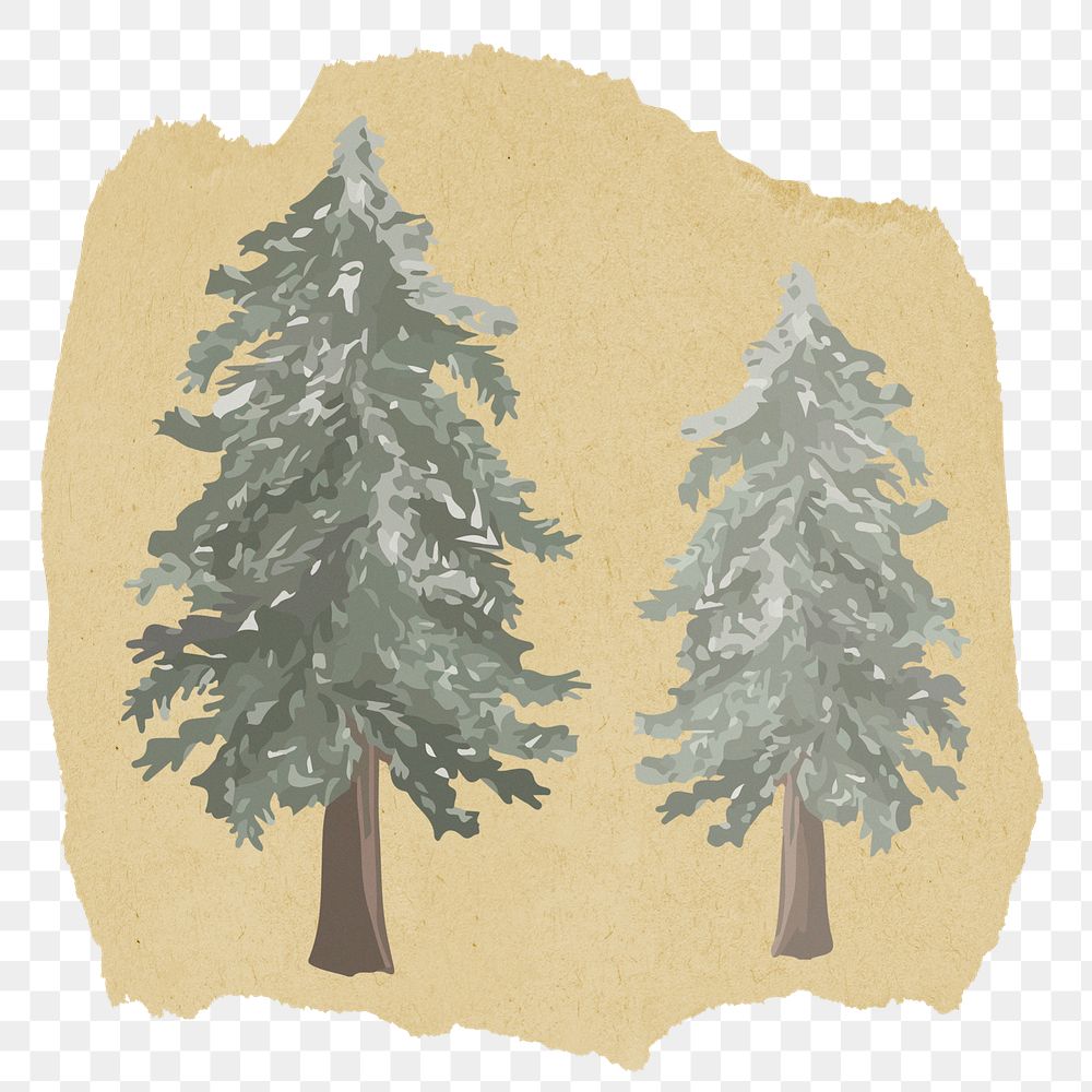 Christmas tree png sticker, ripped paper, transparent background