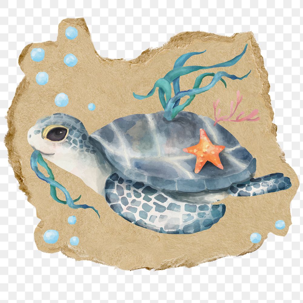 Sea turtle png sticker, ripped paper, transparent background
