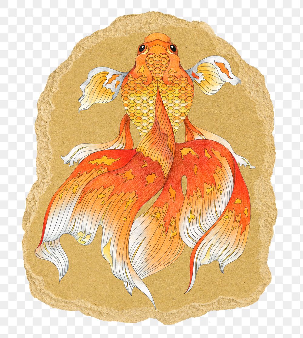 Japanese goldfish png sticker, ripped paper, transparent background