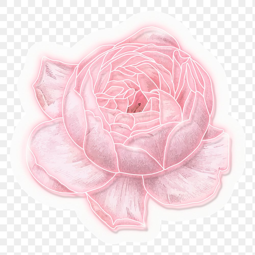 Pink rose png sticker, neon design, transparent background