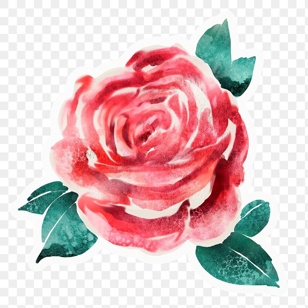Red rose png sticker, watercolor illustration, transparent background
