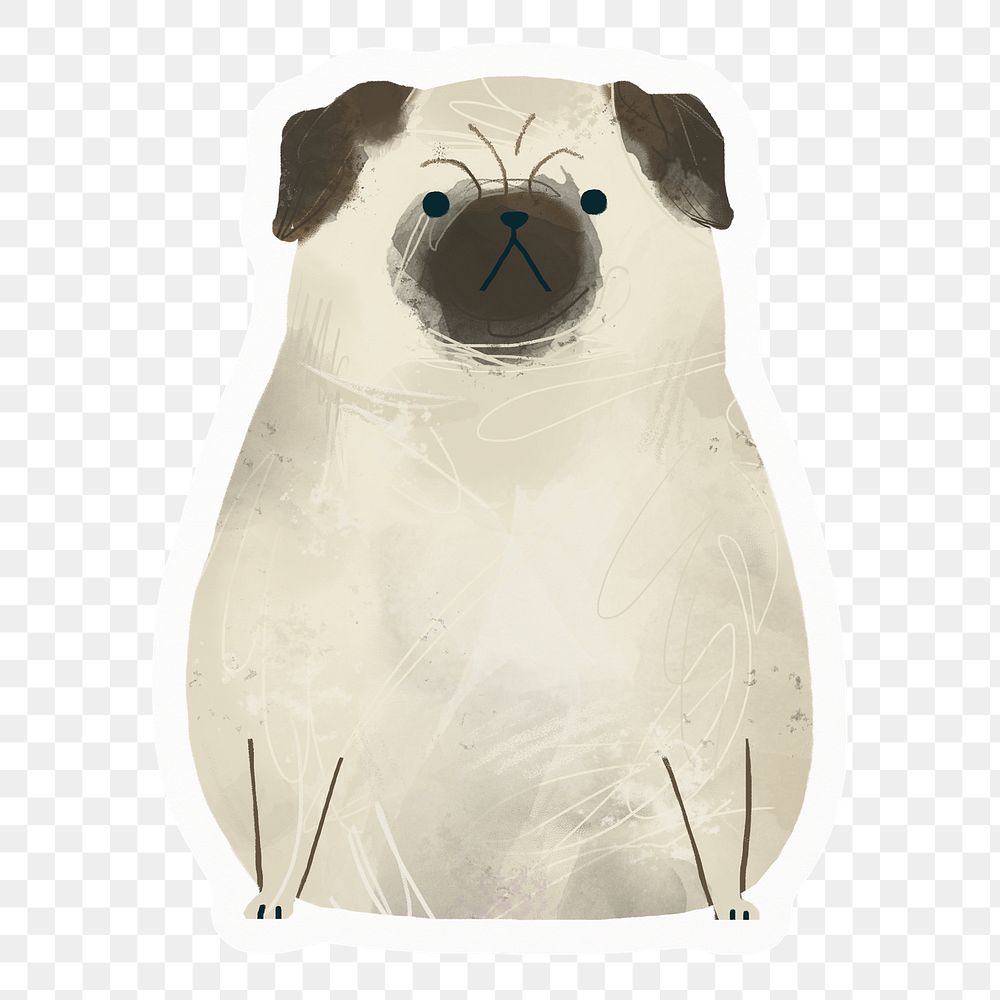 Grumpy pug  png sticker, drawing illustration, transparent background