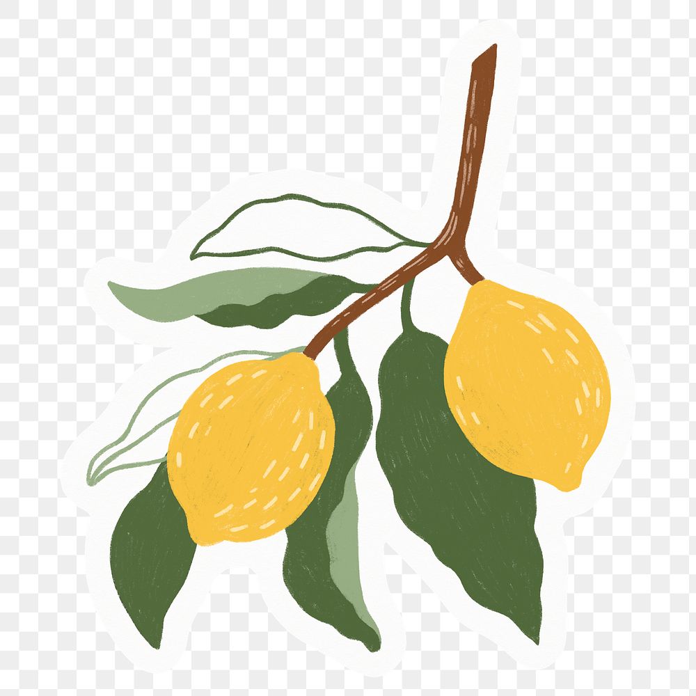 Lemon png sticker, fruit illustration, transparent background