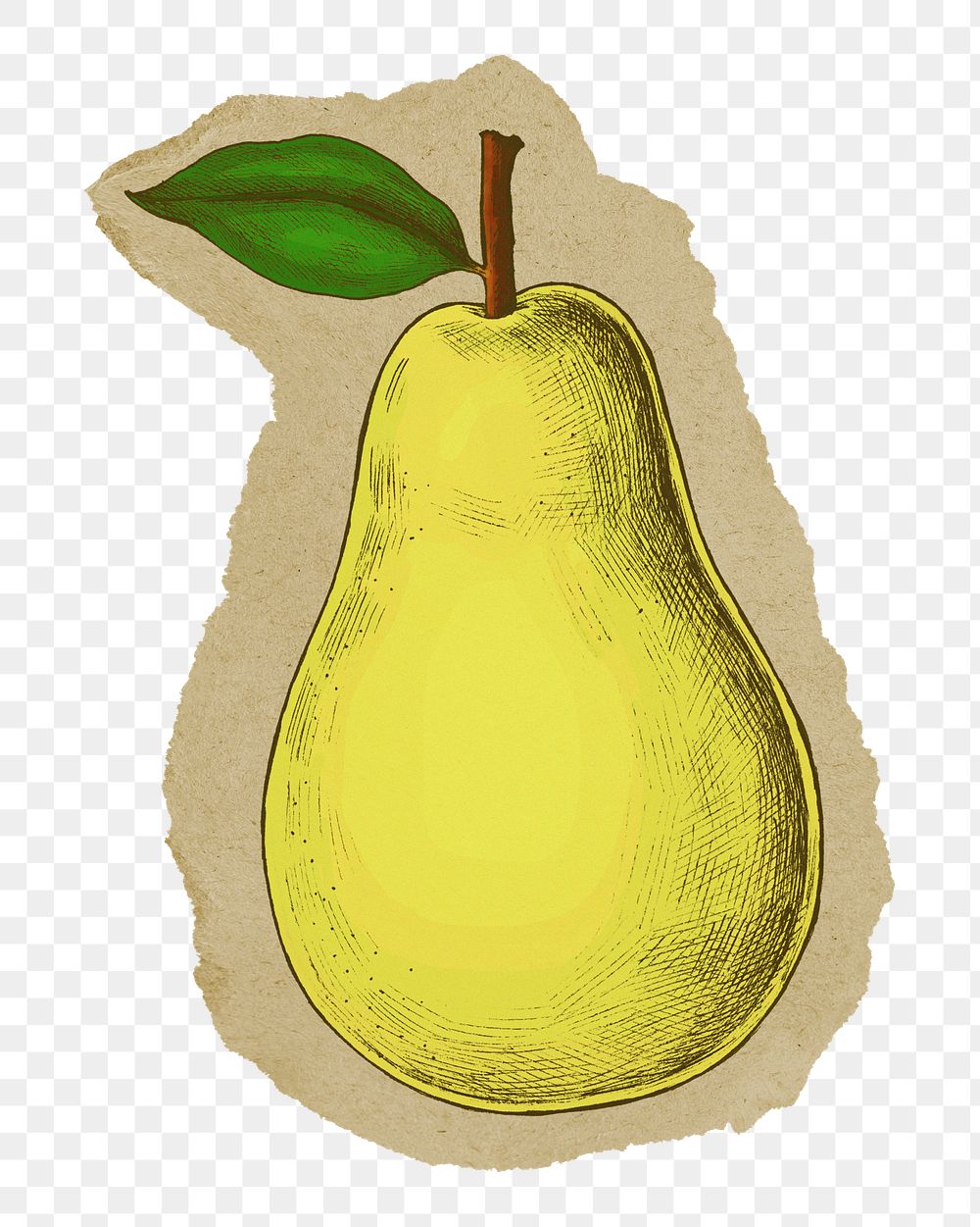 Pear, fruit png sticker, ripped paper, transparent background