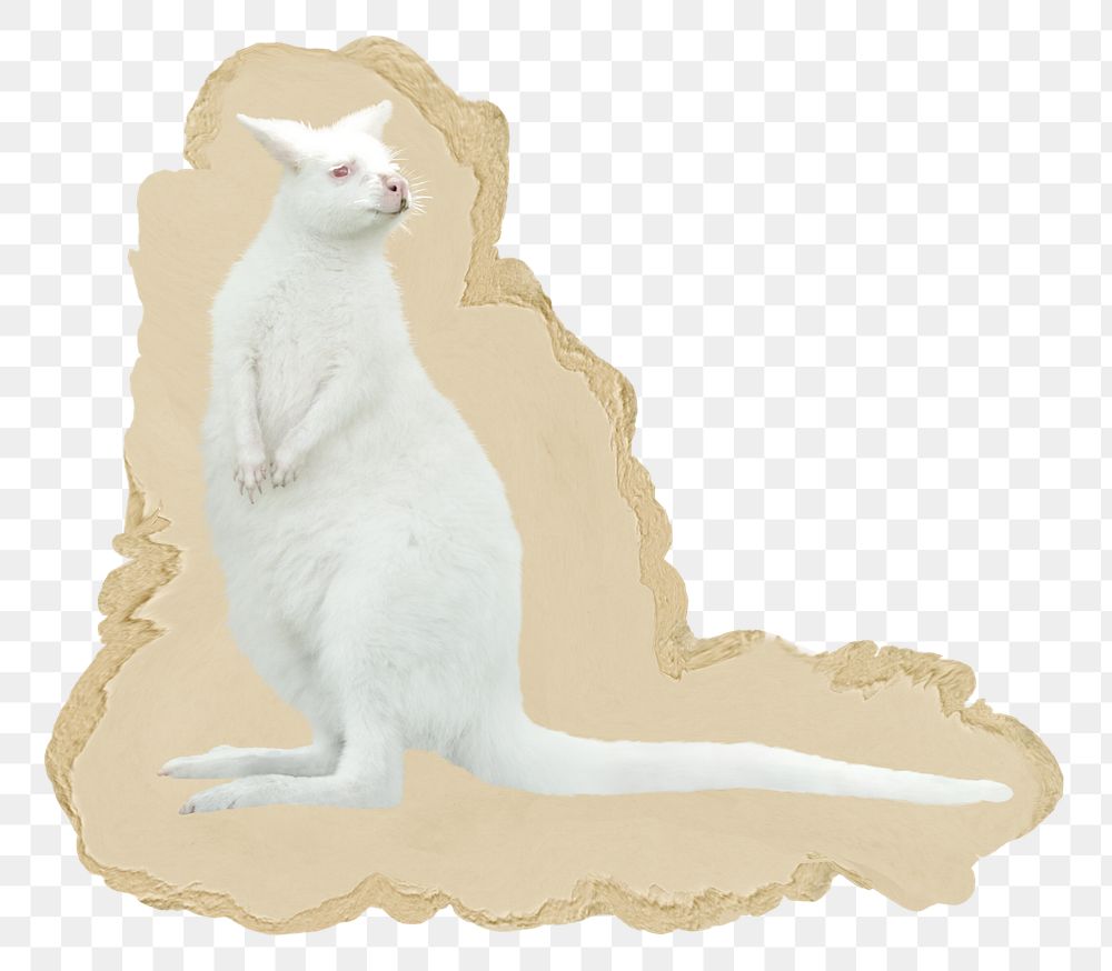 White kangaroo png sticker, ripped paper, transparent background