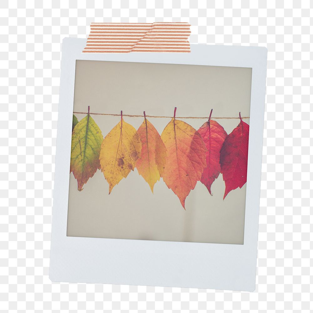 Autumn leaves png sticker, Fall aesthetic instant photo with washi tape on transparent background