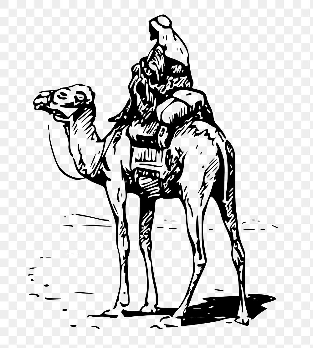 Camel rider png sticker, transparent background. Free public domain CC0 image.