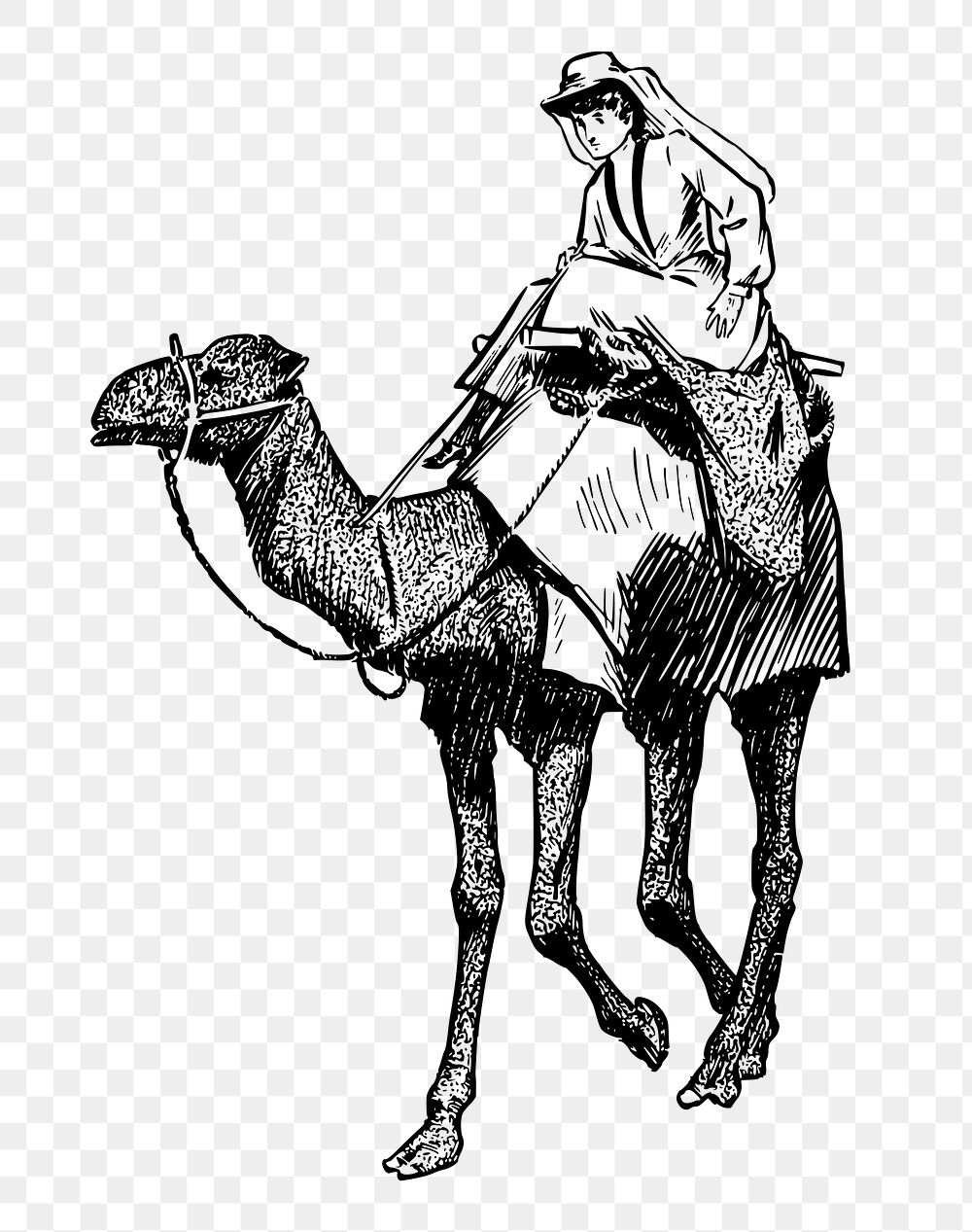 Camel rider png sticker, transparent background. Free public domain CC0 image.