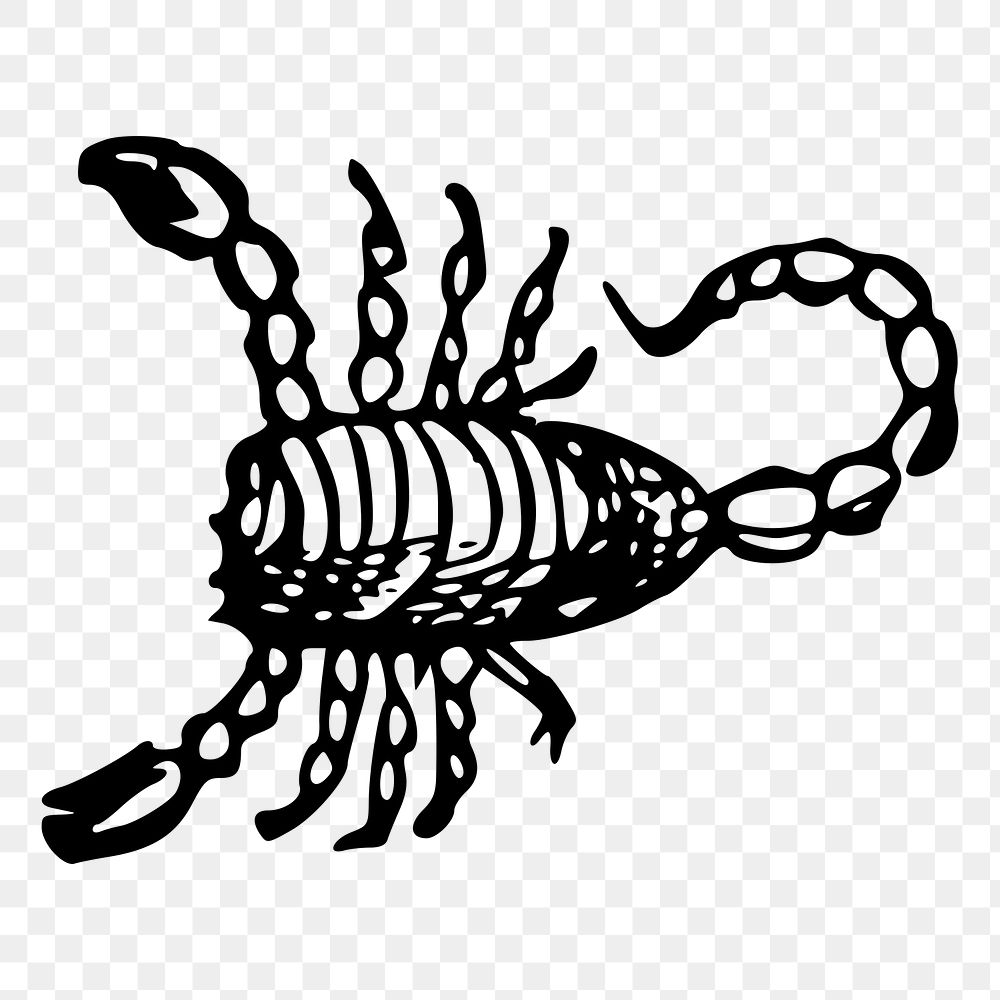 Scorpion png sticker, transparent background. Free public domain CC0 image.