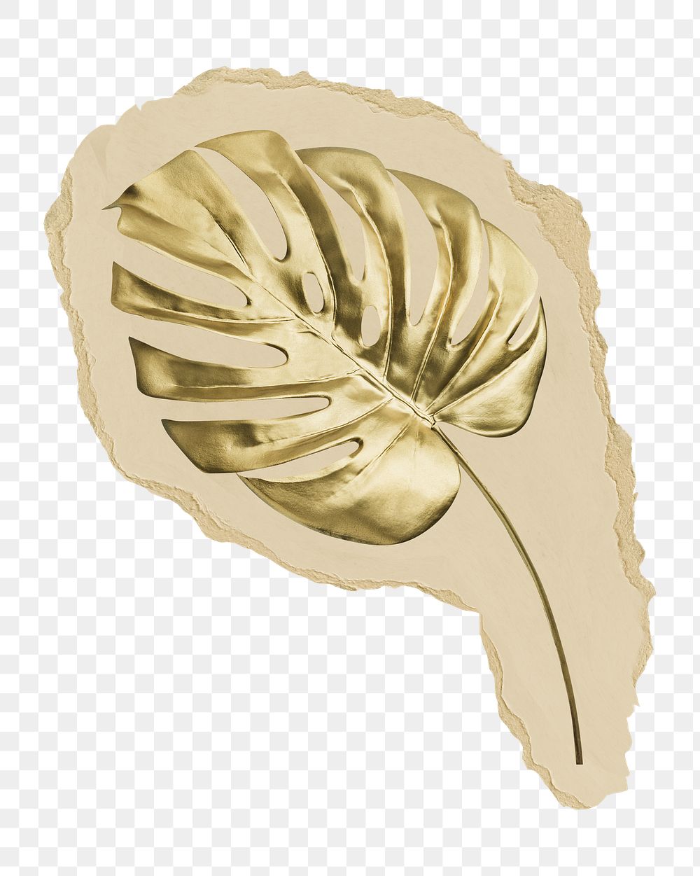 Gold monstera leaf png sticker, ripped paper, transparent background