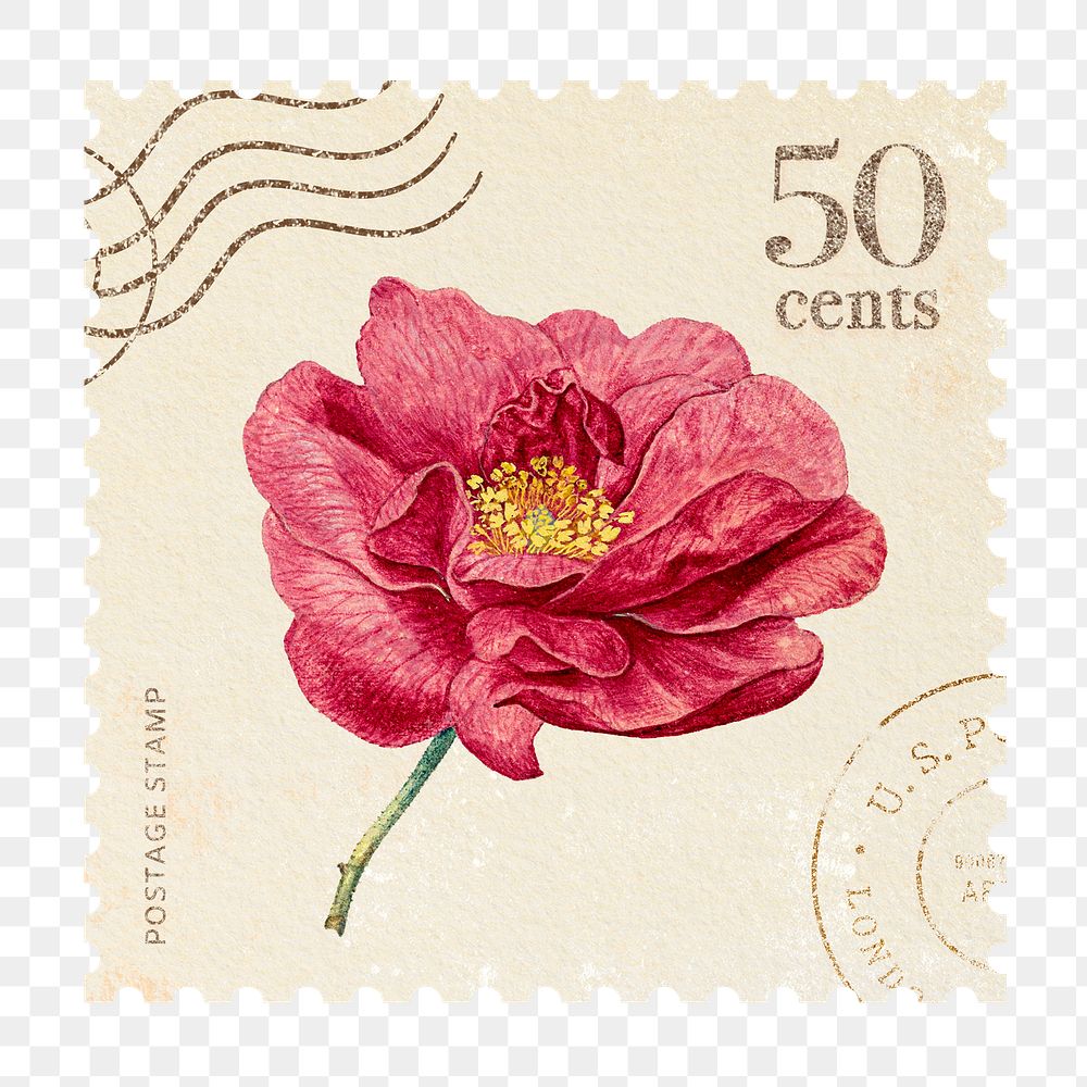 Png French rose postage stamp sticker, vintage flower, transparent background