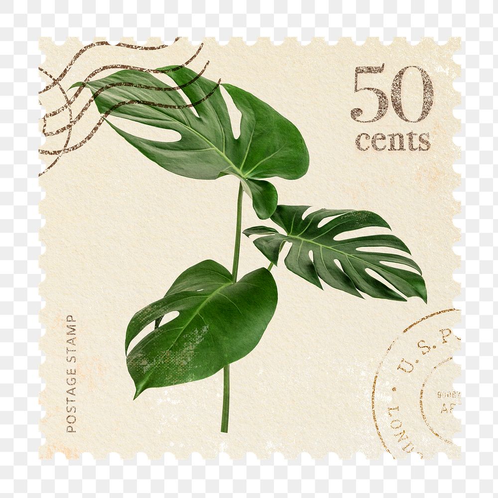 Png monstera postage stamp sticker, vintage botanical, transparent background