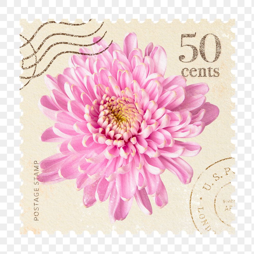 Chrysanthemum png postage stamp sticker, vintage flower, transparent background 