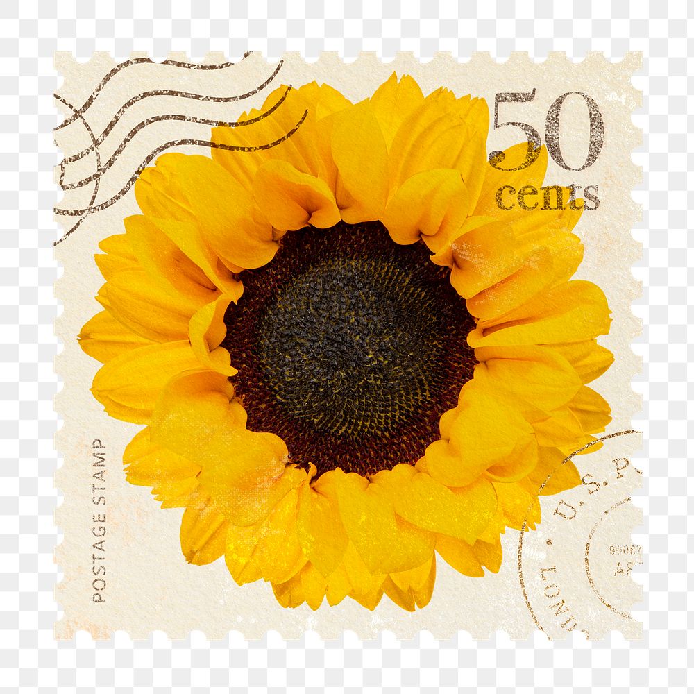 Png sunflower postage stamp sticker, vintage flower, transparent background