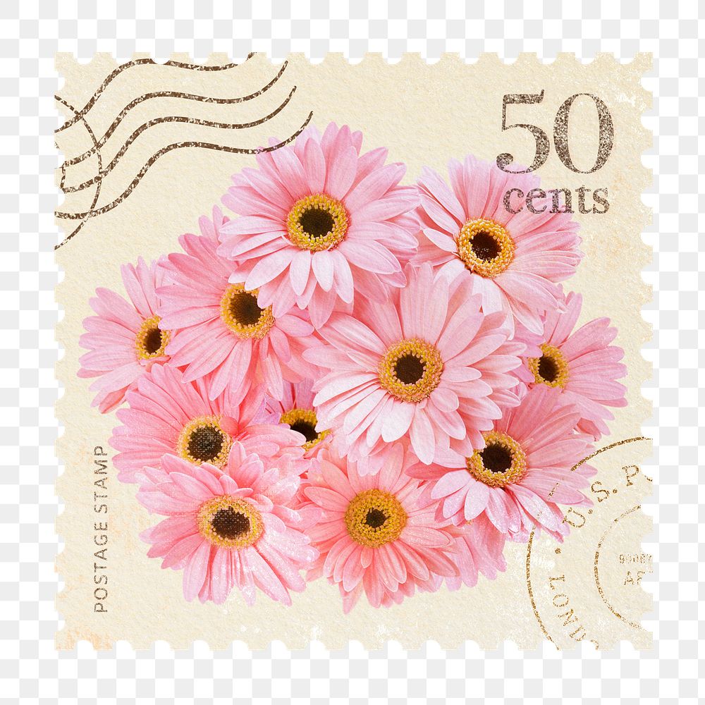Daisies png postage stamp sticker, vintage flower, transparent background 