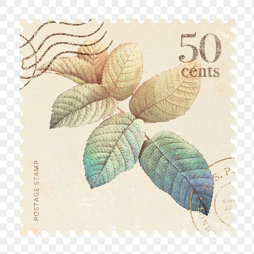 Png leaves postage stamp sticker, vintage botanical, transparent background