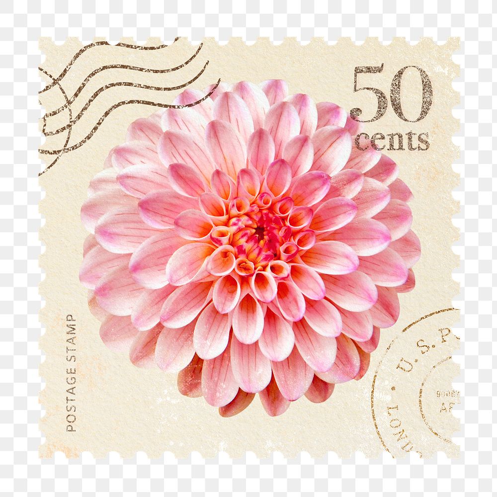 Png dahlia postage stamp sticker, vintage flower, transparent background