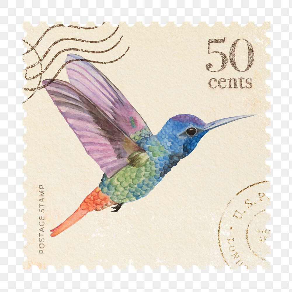 Watercolour humming bird png postage stamp sticker, bullet journal, transparent background