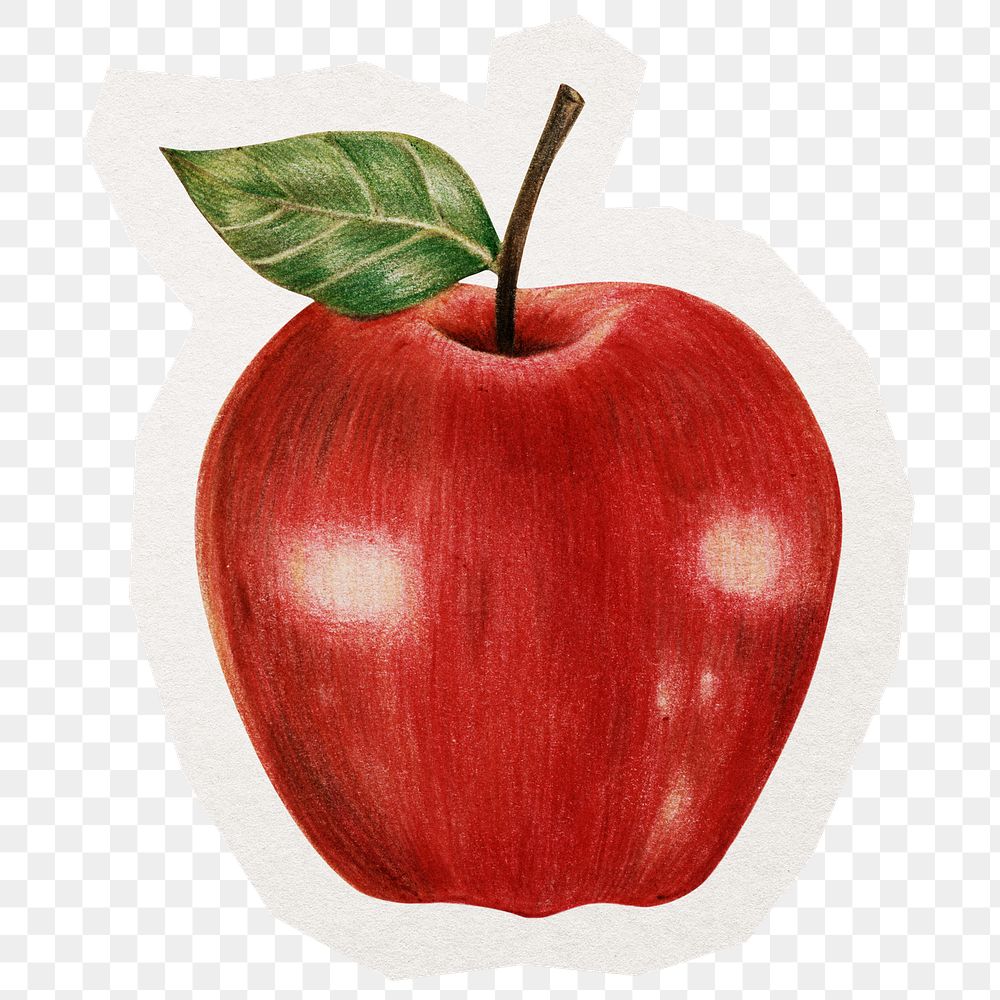 Apple png sticker, transparent background