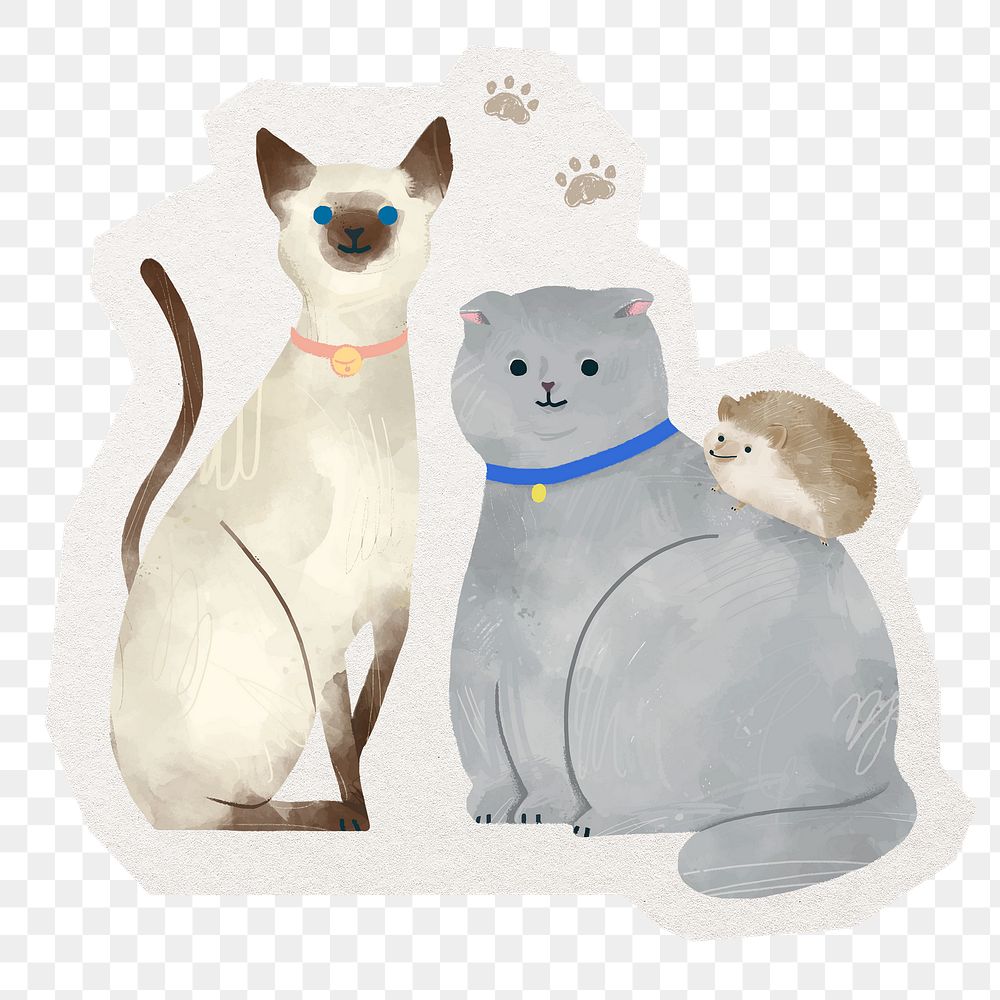 Cute png cat sticker, pet animal illustration in transparent background
