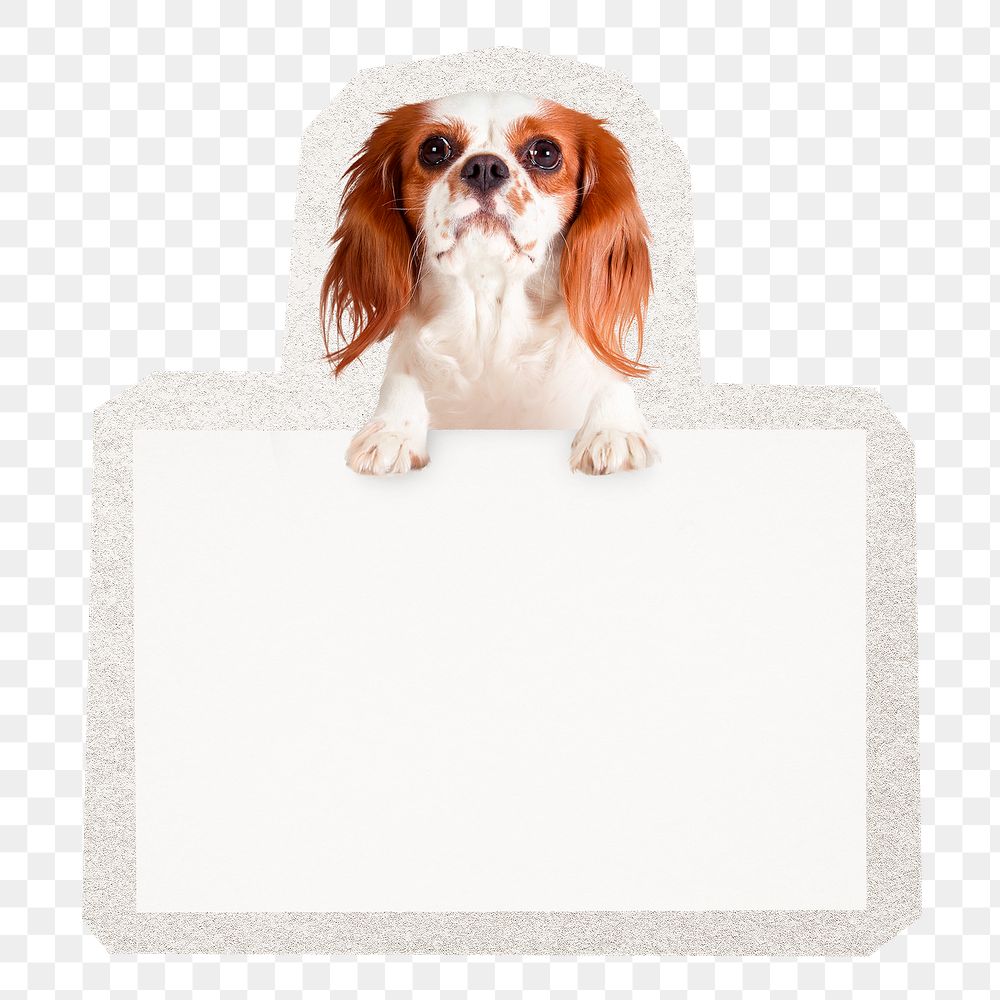 PNG dog, blank placard sticker, collage element in transparent background