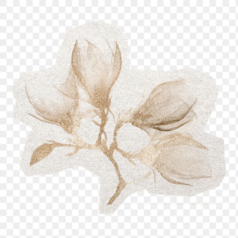 Aesthetic png magnolia sticker, flower illustration decoration