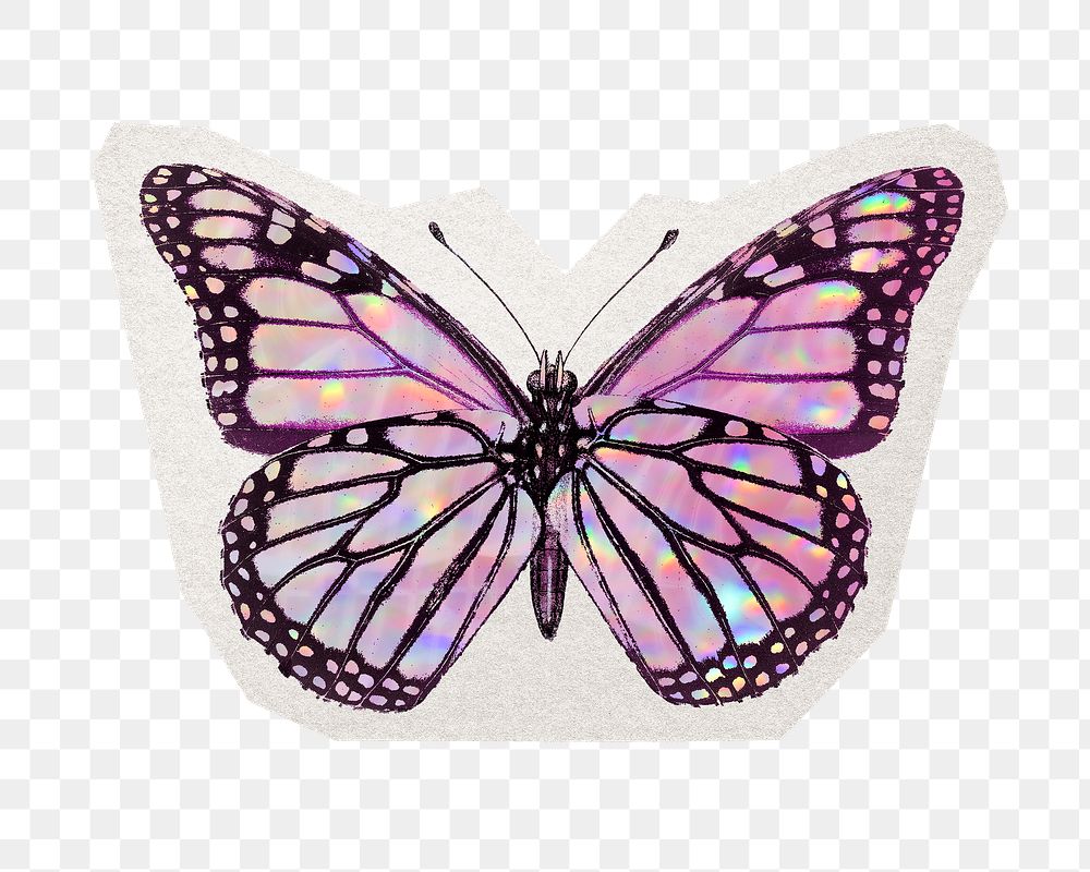 Aesthetic butterfly png sticker, crystal collage element in transparent background