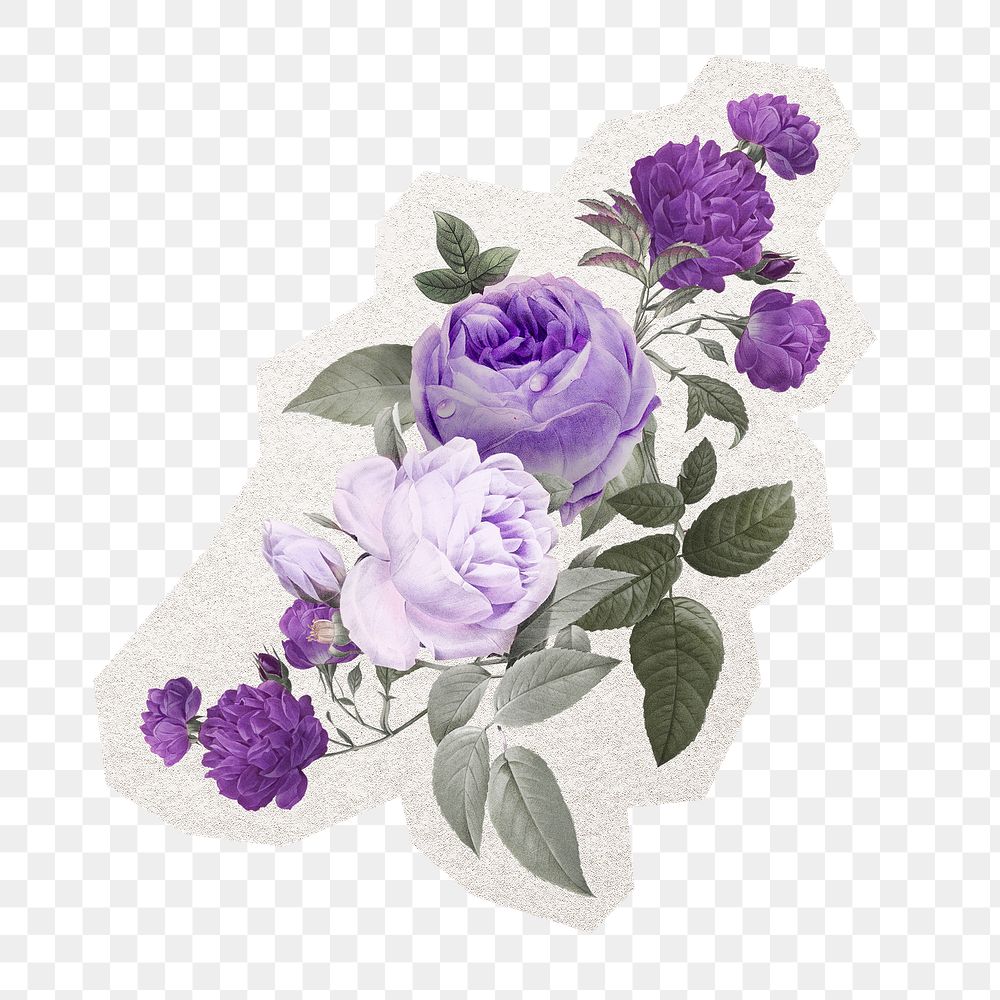 Purple png flower sticker, double moss rose, transparent background
