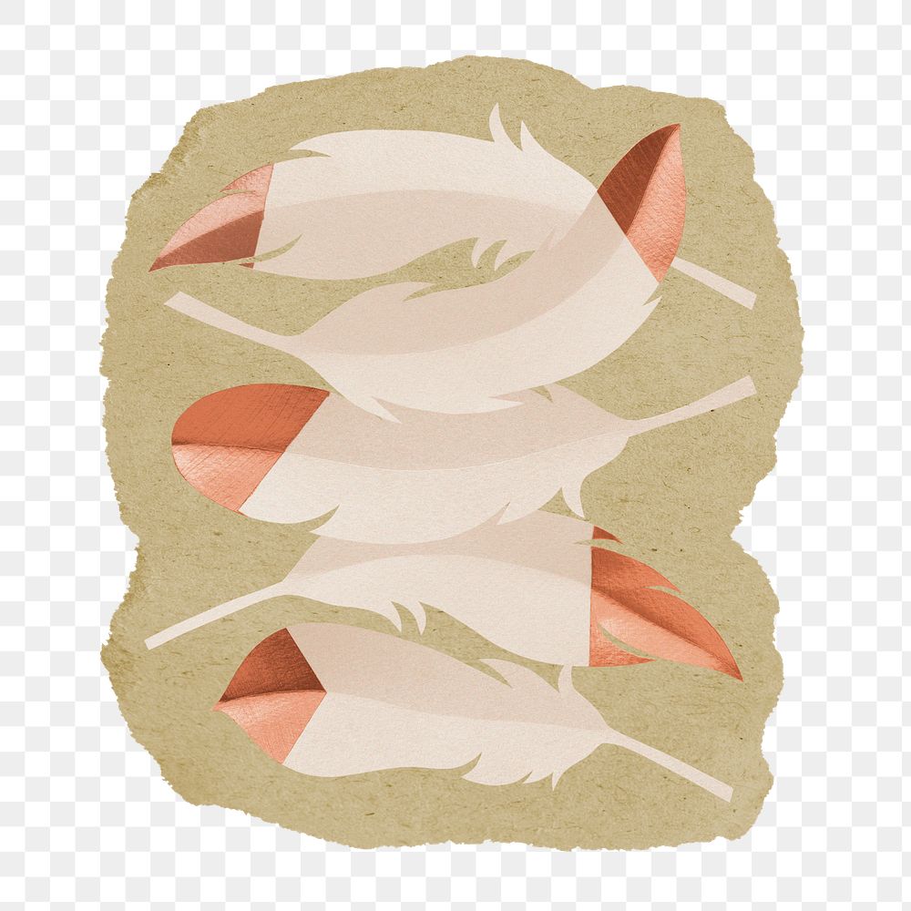 Bird feathers png sticker, ripped paper, transparent background