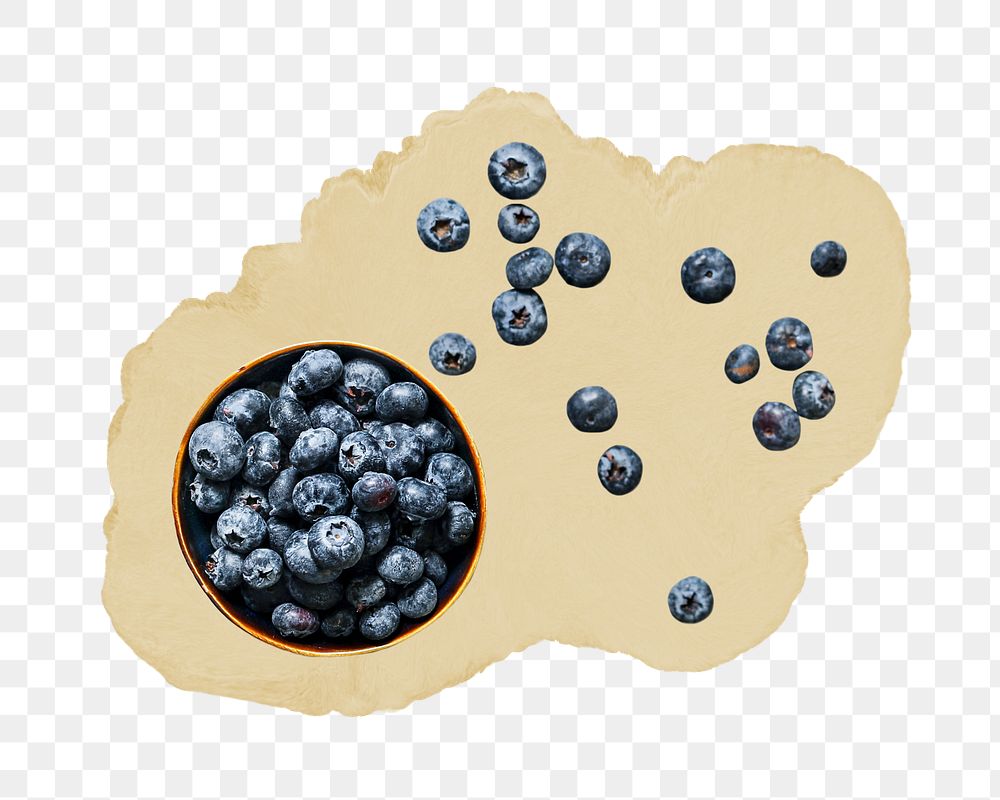 Blueberry bowl png sticker, ripped paper, transparent background