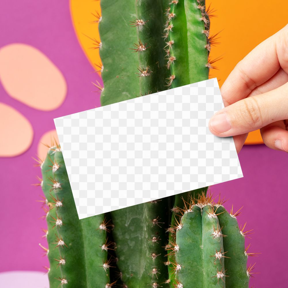 Business card png mockup, transparent design