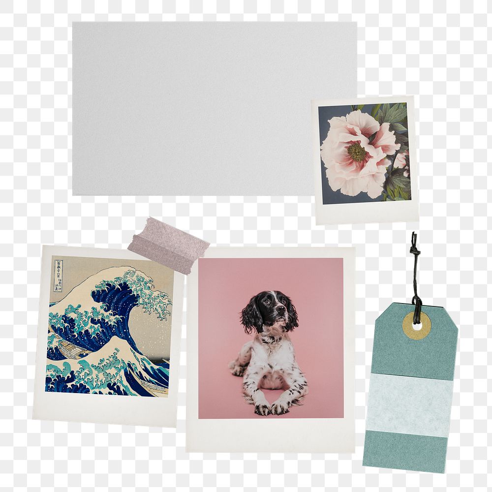 Png aesthetic mood board sticker, instant photo, transparent background