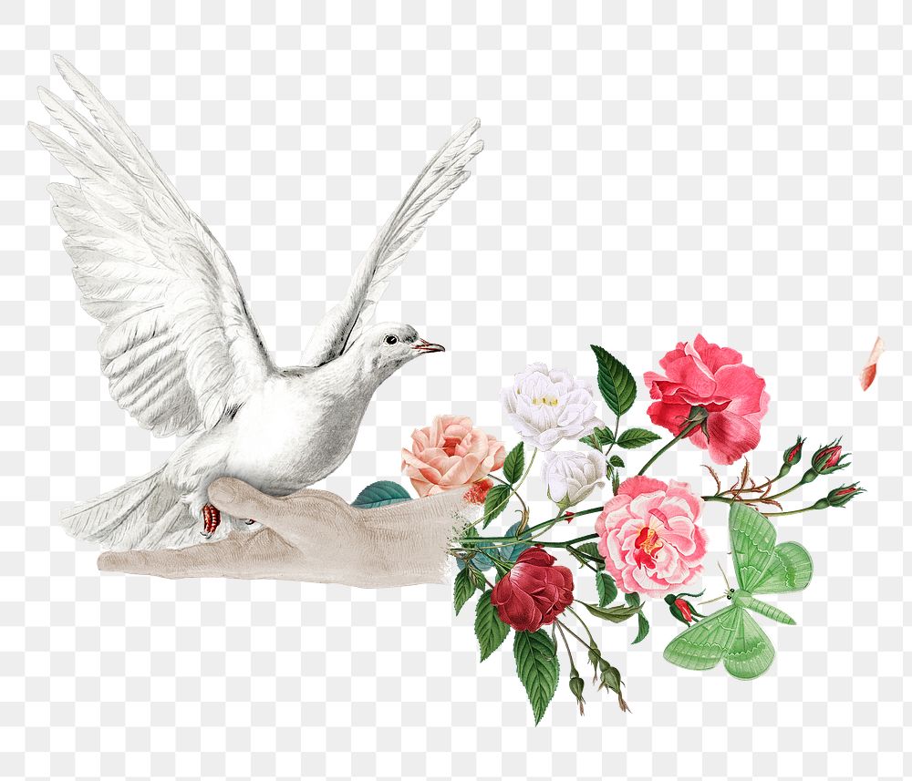 Flower bouquet bird png sticker, transparent background