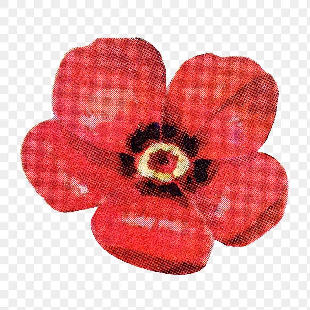 Red flower png botanical sticker, transparent background