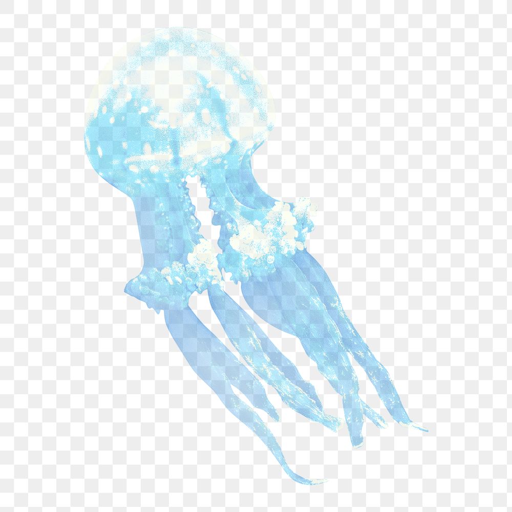 Blue jellyfish png sticker, animal cut out on transparent background