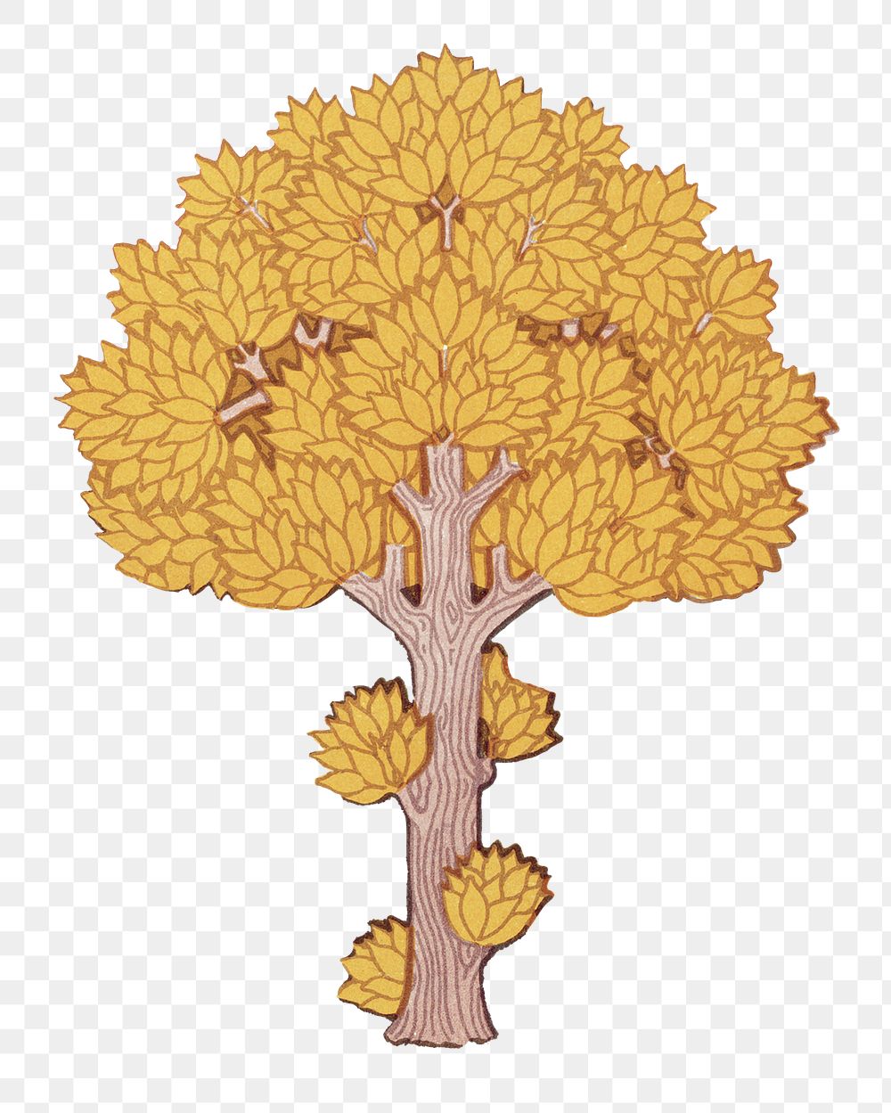 Yellow tree png sticker, vintage botanical illustration, transparent background
