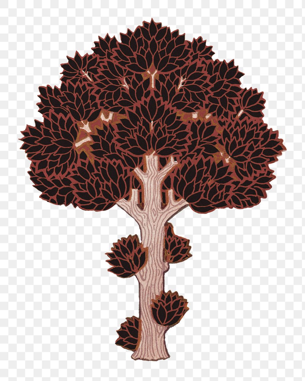 Brown tree png sticker, vintage botanical illustration, transparent background