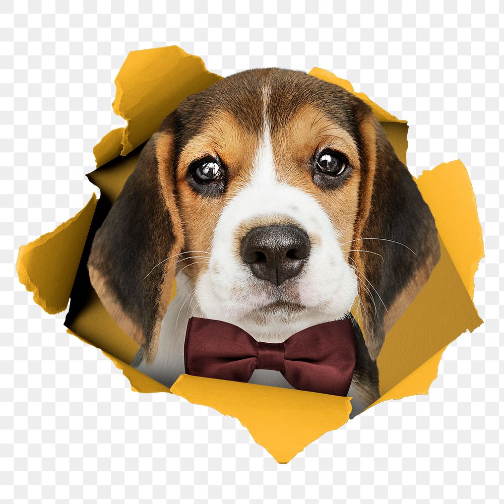 Cute dog png sticker, ripped paper design, transparent background