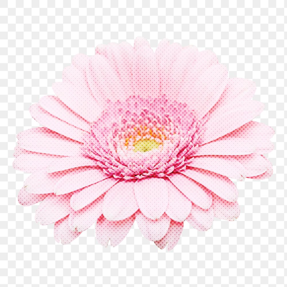 Daisy png sticker, pink design, transparent background